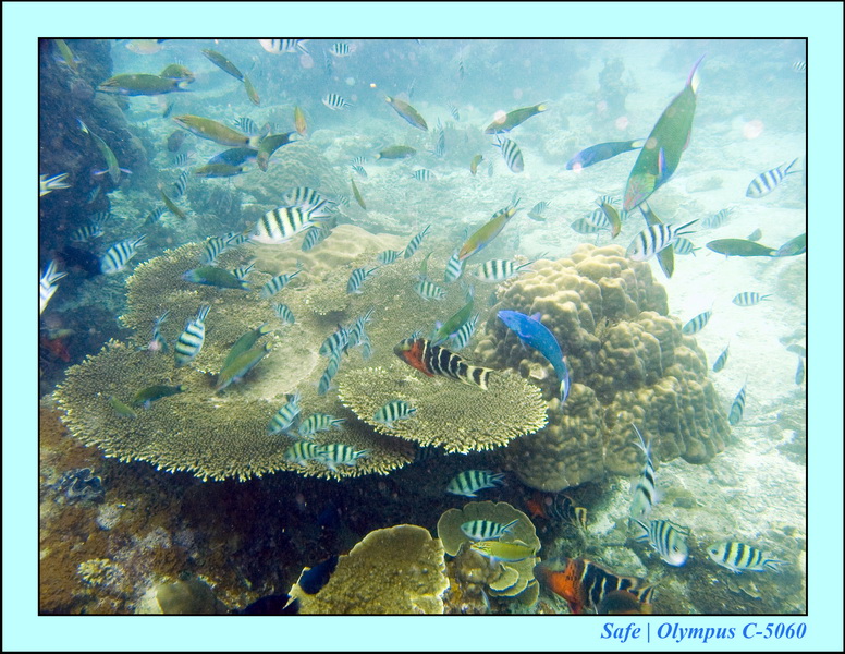 2008 - 07 - Perhentian - 055